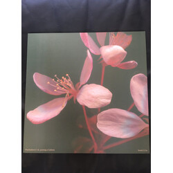 Pachakuti & young.vishnu Semilla Vinyl LP