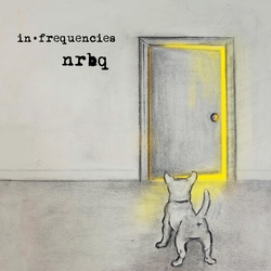 Nrbq In Frequencies vinyl LP