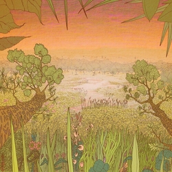 Pine Barons Mirage On The Meadow vinyl LP