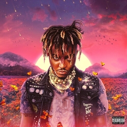 Juice Wrld Legends Never Die VINYL LP