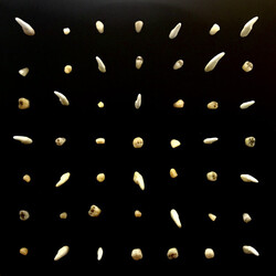 Clipping Visions Of Bodies Being Burned VINYL LP