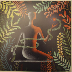 Loma Dont Shy Away VINYL LP