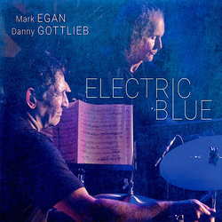 Egan,Mark Gottlieb,Danny Electric Blue (Ogv) vinyl LP