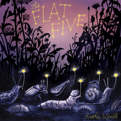 Flat Five Another World VINYL LP