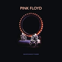 Pink Floyd Delicate Sound Of Thunder (W Dvd) (Box) (Wbr) CD
