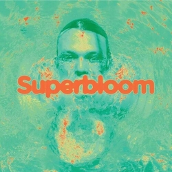 Ashton Irwin Superbloom (Colv) (Gate) vinyl LP