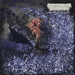 Of Feather & Bone Sulfuric Disintegration VINYL LP