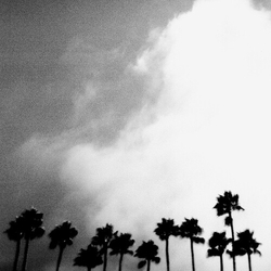 Richard Rose (15) Radiation Breeze VINYL LP