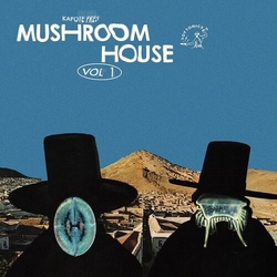Various Artists Kapote Pres Mushroom House Vol 1 2 X VINYL LP
