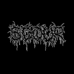 Scour Black (10In) vinyl LP