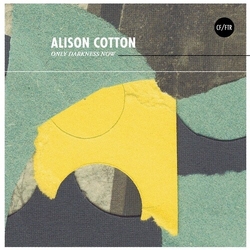 Alison Cotton Only Darkness Now vinyl LP