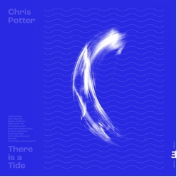 Chris Potter There Is A Tide vinyl LP