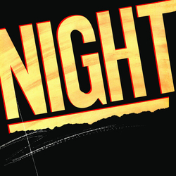 Night Night VINYL LP