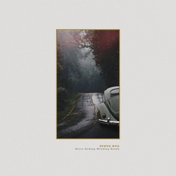 Steve Bug Never Ending Winding Roads (2Pk) vinyl LP