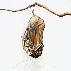 Grayceon Mothers Weavers Vultures vinyl LP
