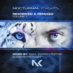 Ram Potter,Darren Mcauley,Ciaran Nocturnal Nights Reworked And Remixed 1 CD