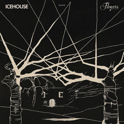 Icehouse Icehouse Plays Flowers Live (Aus) vinyl LP