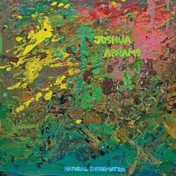 Joshua Abrams Natural Information vinyl LP