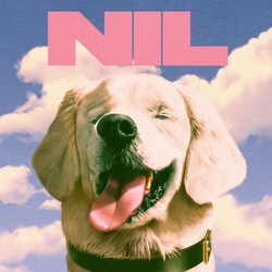 Dirty Nil Fuck Art vinyl LP