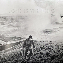 Jeff Tweedy Love Is The King (Cvnl) (Ltd) vinyl LP