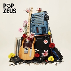 Pop Zeus This Doesn't Feel Like Home: Unreleased Demos 2011-2014 VINYL LP