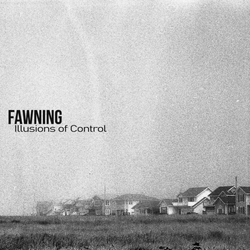 Fawning Illusions Of Control (Colv) Vinyl LP