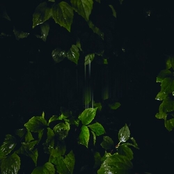 Martina Bertoni Music For Empty Flats Vinyl LP