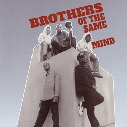 Brothers Of The Same Mind Brothers Of The Same Mind VINYL LP
