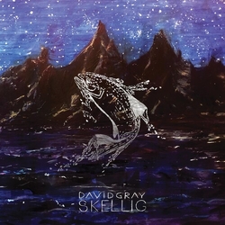 David Gray Skellig (Gate) vinyl LP