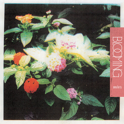 Amulets Blooming VINYL LP