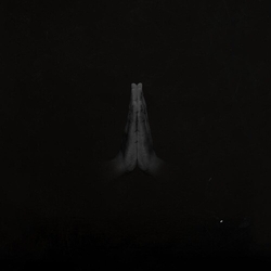 Sault Untitled (Rise) VINYL LP