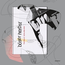 Thomas Fehlmann Boser Herbst Vinyl LP