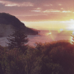 Ocean Party Beauty Point Vinyl LP