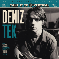 Deniz Tek Take It To The Vertical VINYL LP