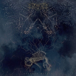 Intonate Severed Within VINYL LP