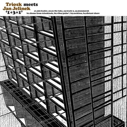 Triosk Elinek,Jan 1 + 3 + 1 Vinyl LP
