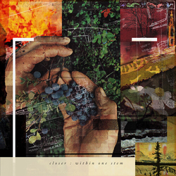 Closer Within One Stem Vinyl LP