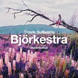Bjorkestra Hyperballad VINYL