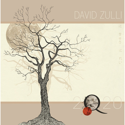 David Zulli 2Q20 VINYL LP