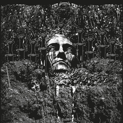 Suicide Forest Reluctantly Vinyl LP