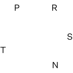 Prsnt Various Prsnt Various Vinyl LP