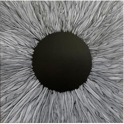 VOLA Witness Vinyl LP