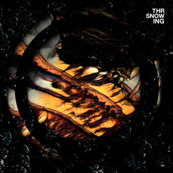 Throwing Snow Dragons  VINYL LP