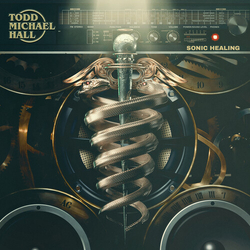 Todd Michael Hall Sonic Healing VINYL LP