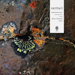 Sebastian Mullaert / Tonhalle-Orchester Zürich Natthall