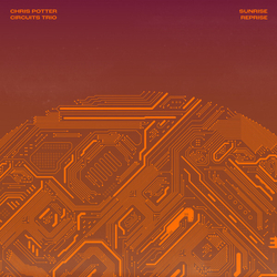 Chris Potter Sunrise Reprise Vinyl LP
