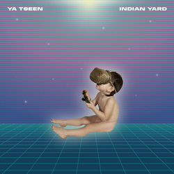Ya Tseen Indian Yard (Clear VINYL) (W Book) (Dlx) VINYL LP