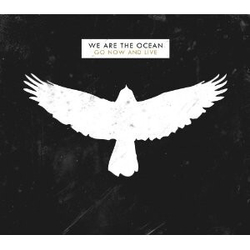 We Are The Ocean Go Now & Live (10Th Anniversary) (Uk) Vinyl LP