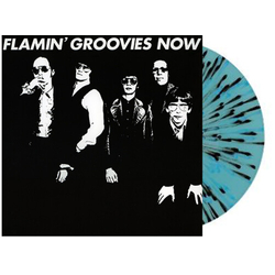 Flamin Groovies Now VINYL LP