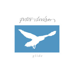 Peter Davison Glide Vinyl LP